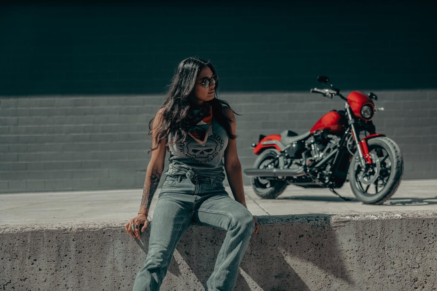 Le frisson commence ici. Low Rider S 2025 à découvrir en concession !
